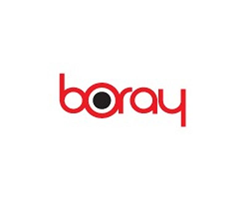 boray's logo