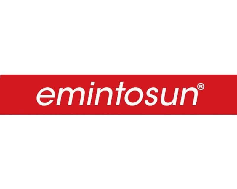 Emintosun's logo