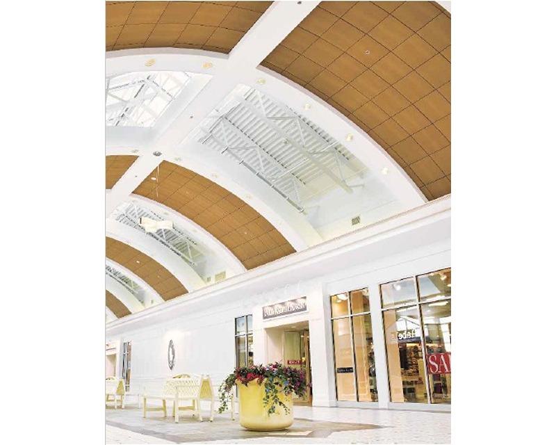 Optima Clipin Ceiling