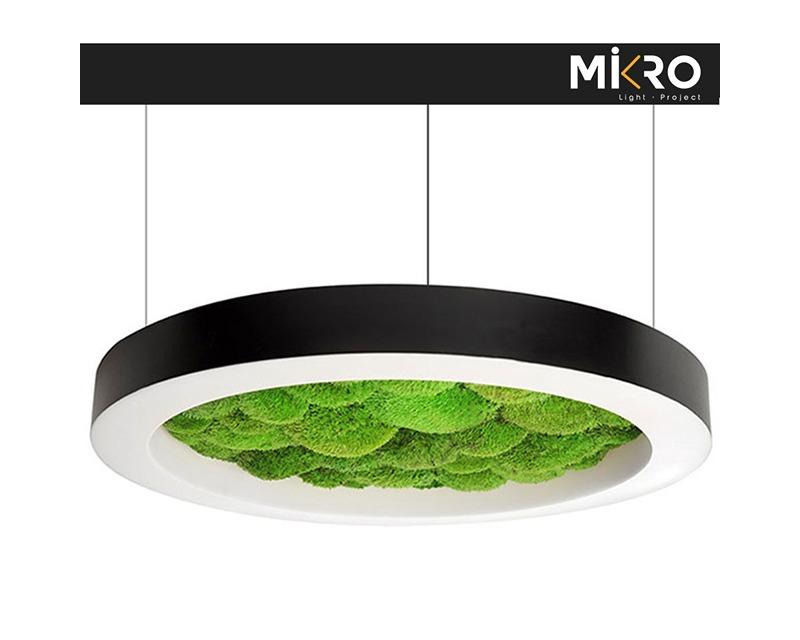 Collet Moss Lighting
