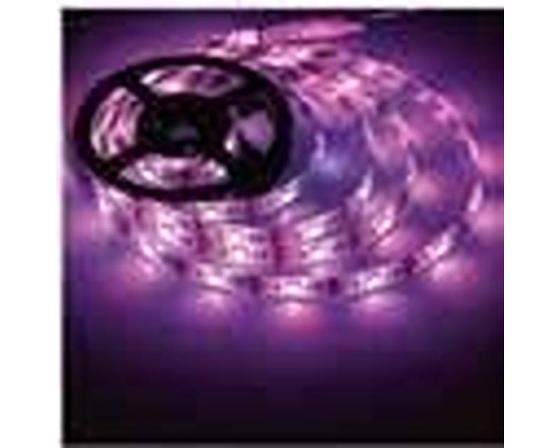 Strip Led Lighting