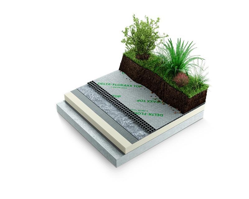 related-product